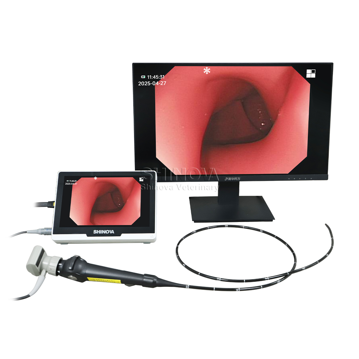 Portable Veterinary Endoscope(5.8mm)