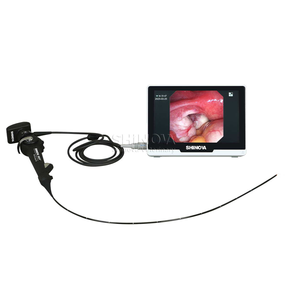 Portable Veterinary Endoscope(2.8mm)