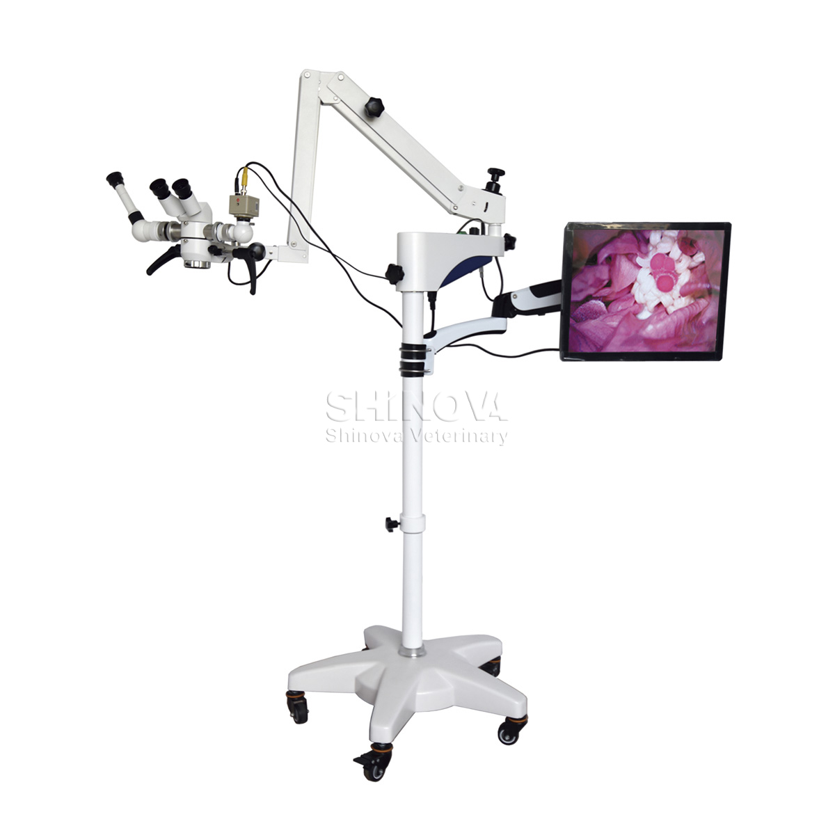 Veterinary Operating Microscope 