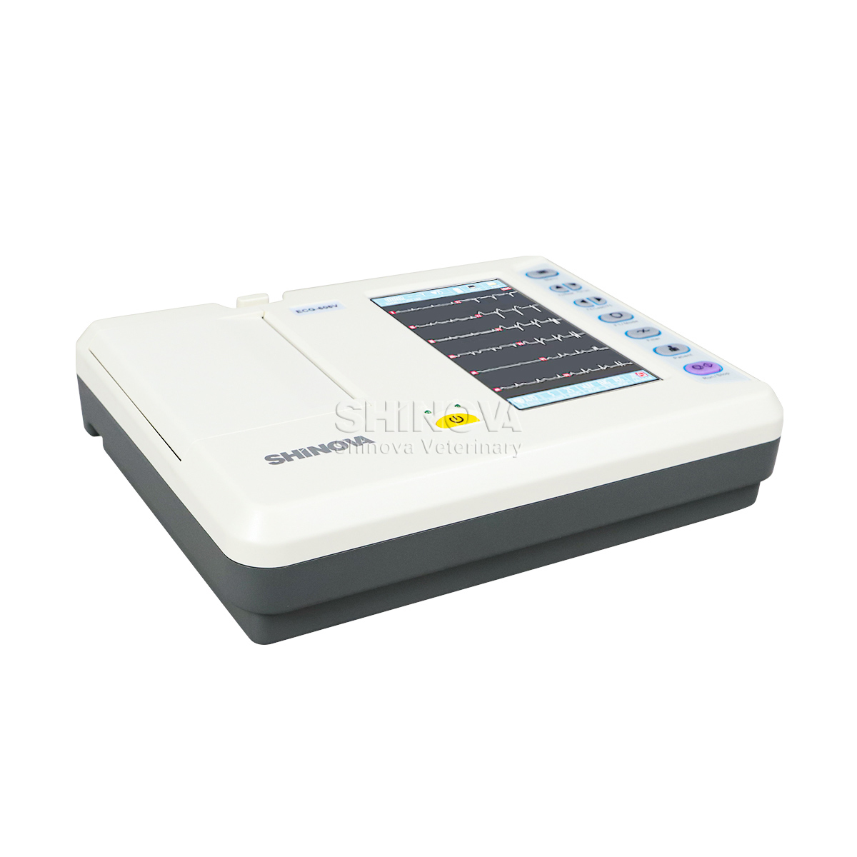 Portable Veterinary ECG Machine Veterinary Electrocardiagraph