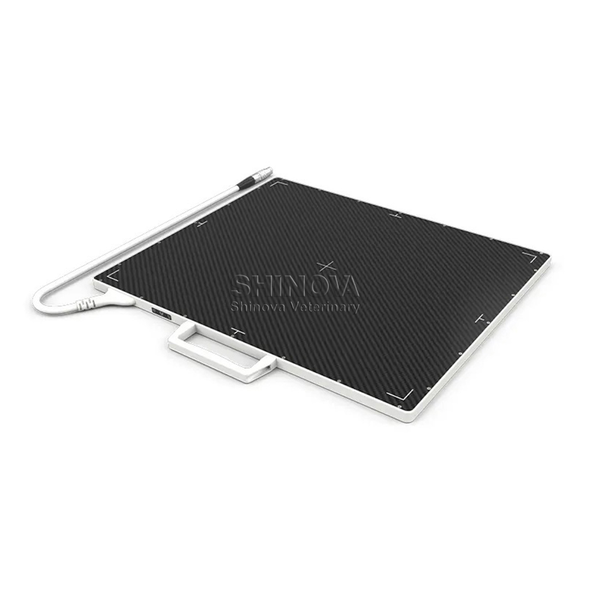 X-Ray Flat Panel Detector