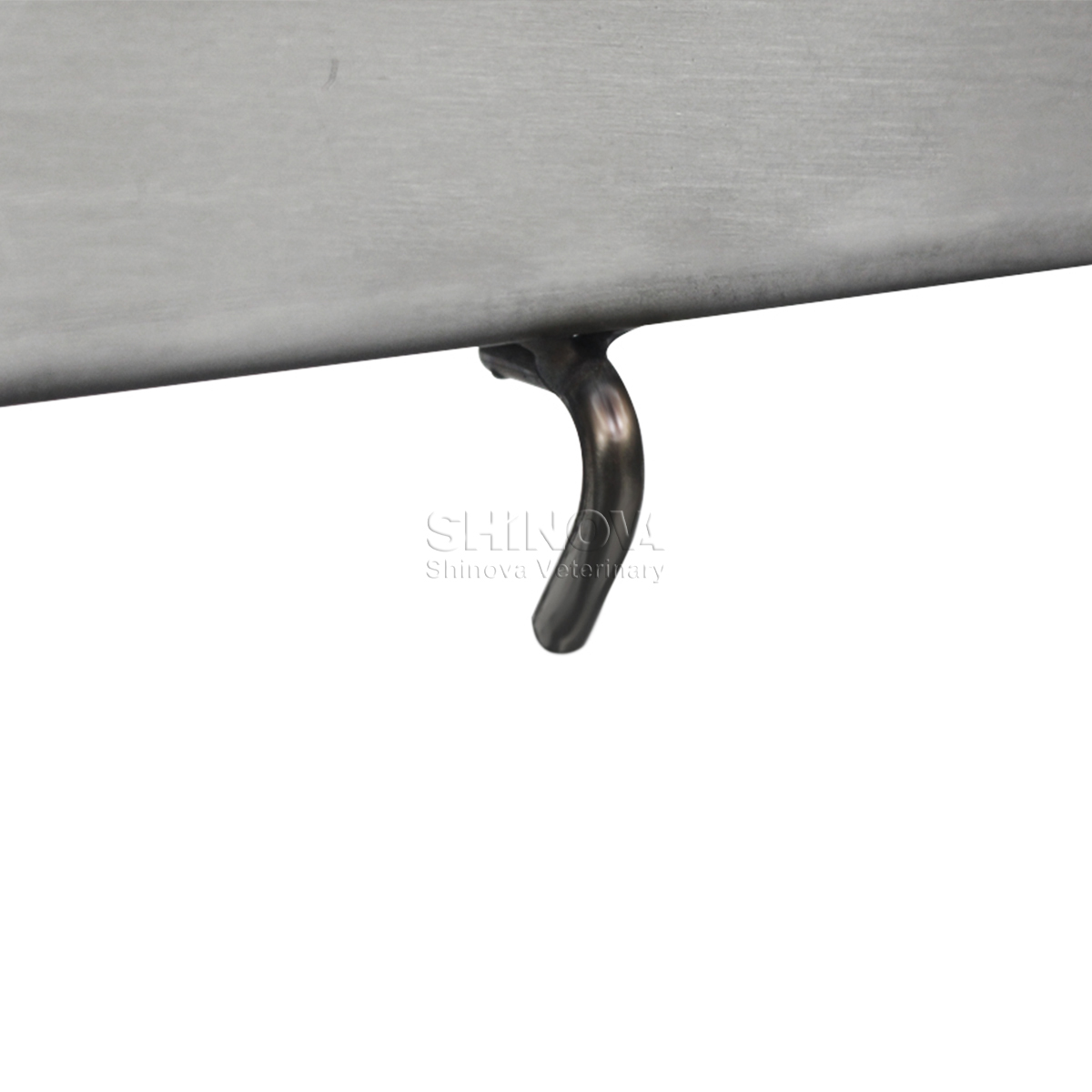 Stainless Steel Animal Dissection Table