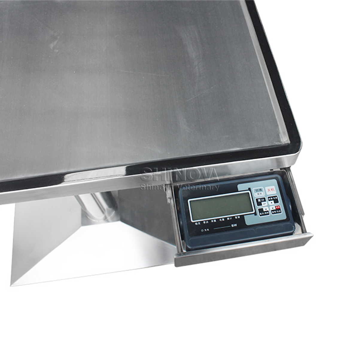 Multi-functional Electric Lifting Table With Scale