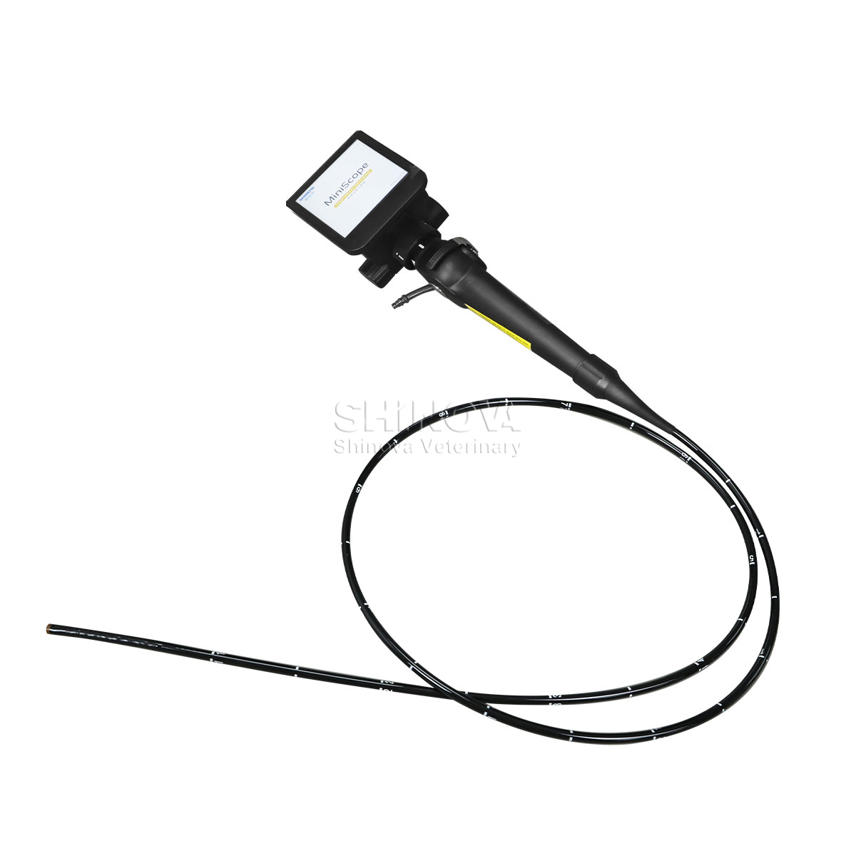 Handheld High-definition Video Endoscope for Equine Bronchoscopy