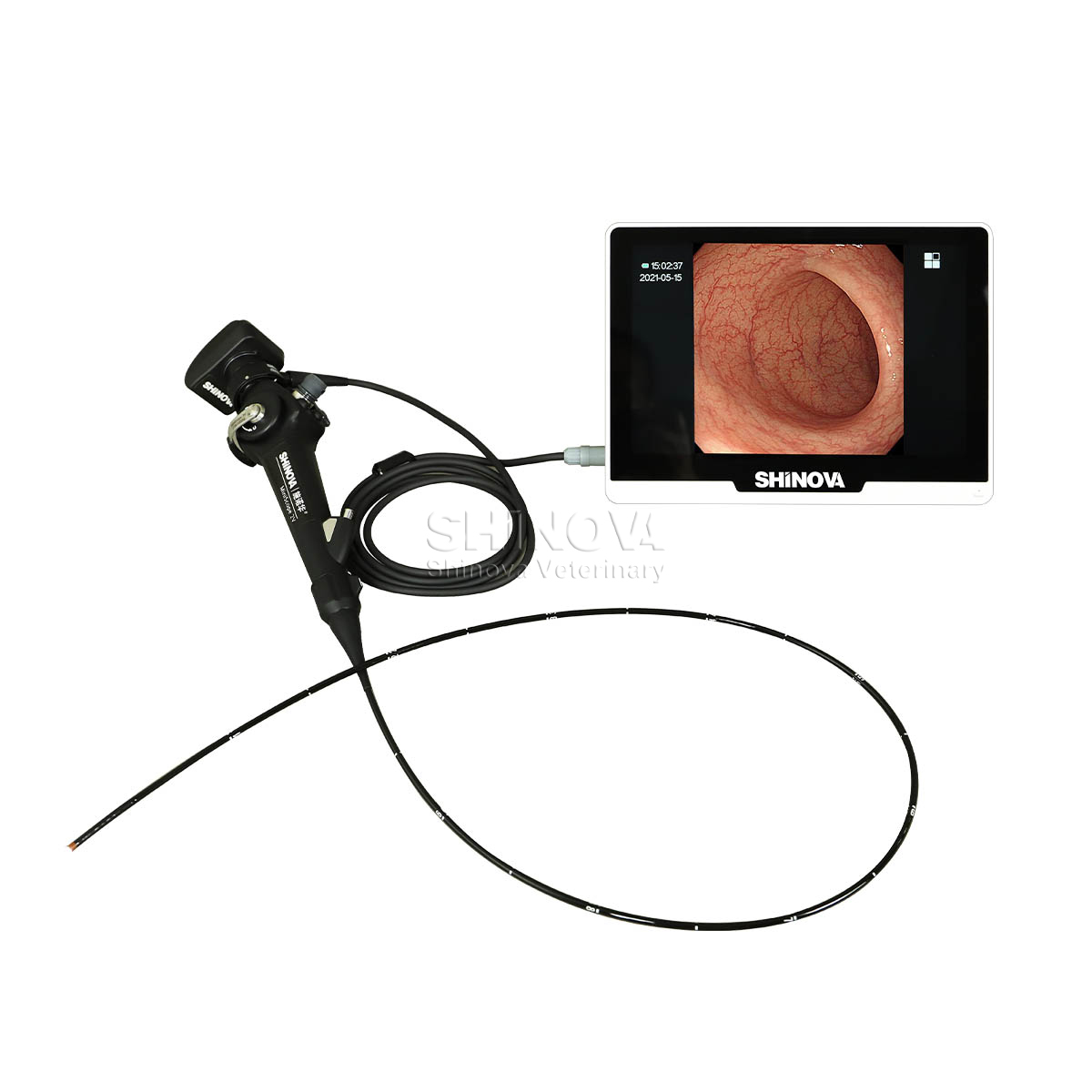 Portable Veterinary Endoscope(2.8mm)