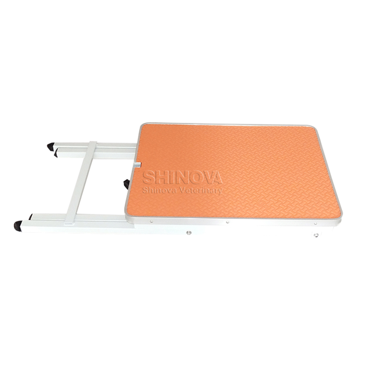 Portable Foldable Grooming Table