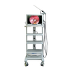 Veterinary Laparoscope Tower