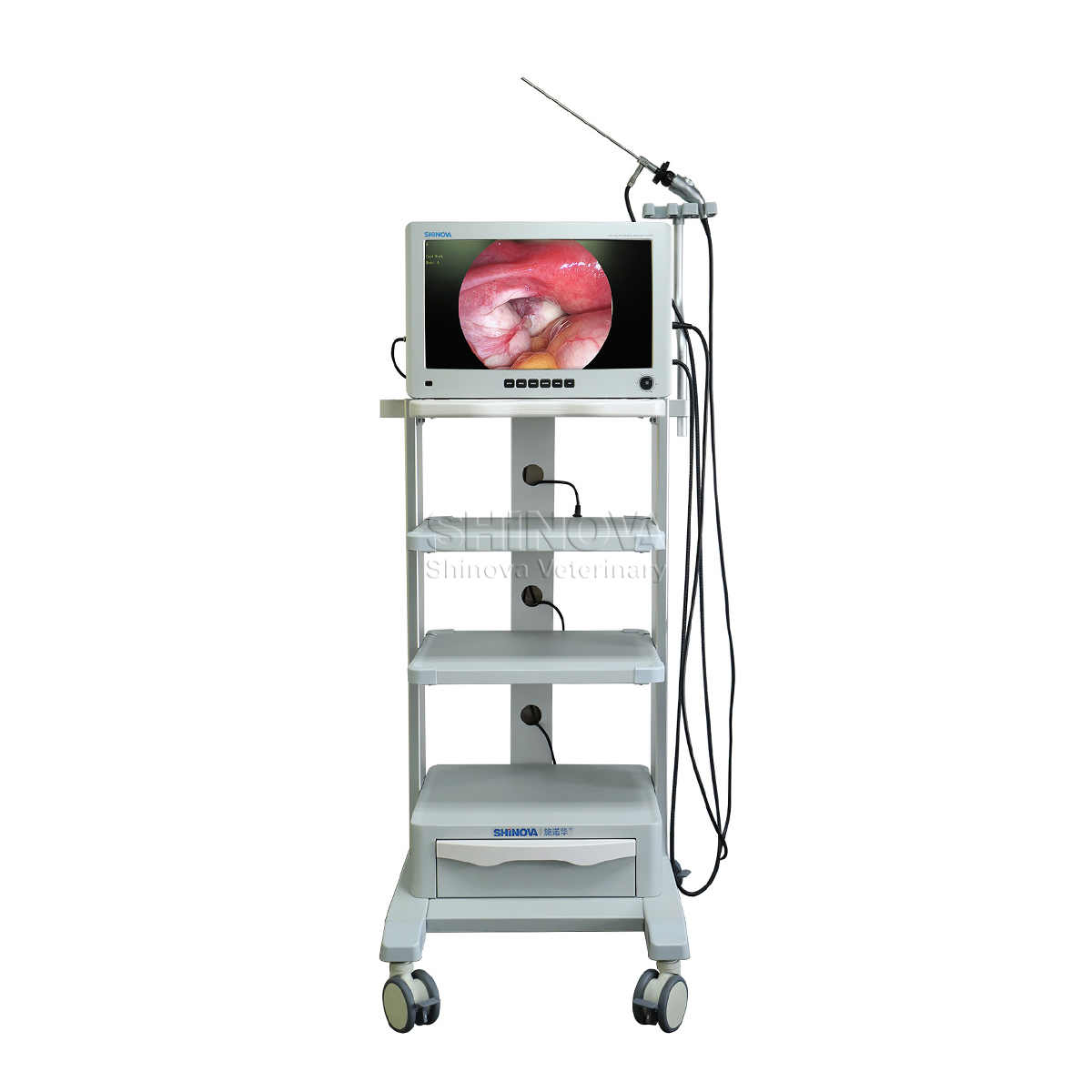 Veterinary Laparoscope Tower