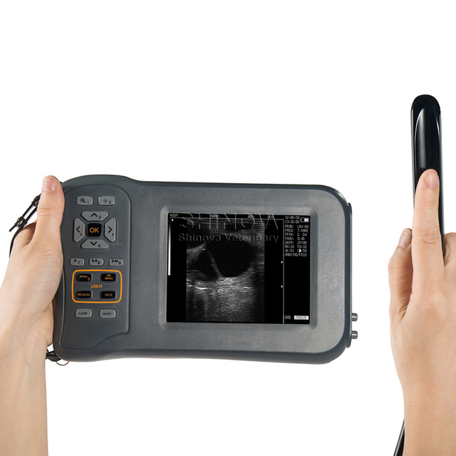 Handheld Veterinary Ultrasound with 5.8 inch WVGA LCD monitor