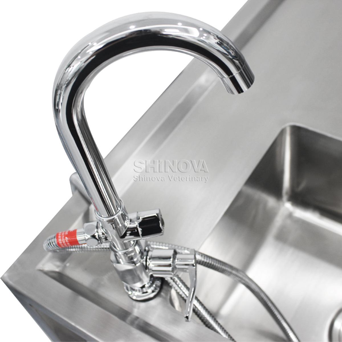 Stainless Steel Animal Dissection Table