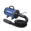 Single-Motor Pet Blower
