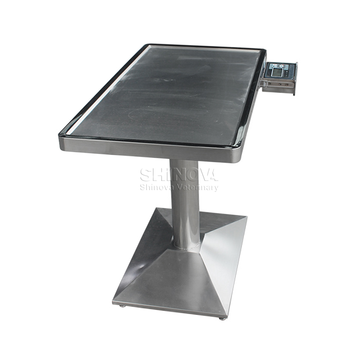 Multi-functional Electric Lifting Table With Scale