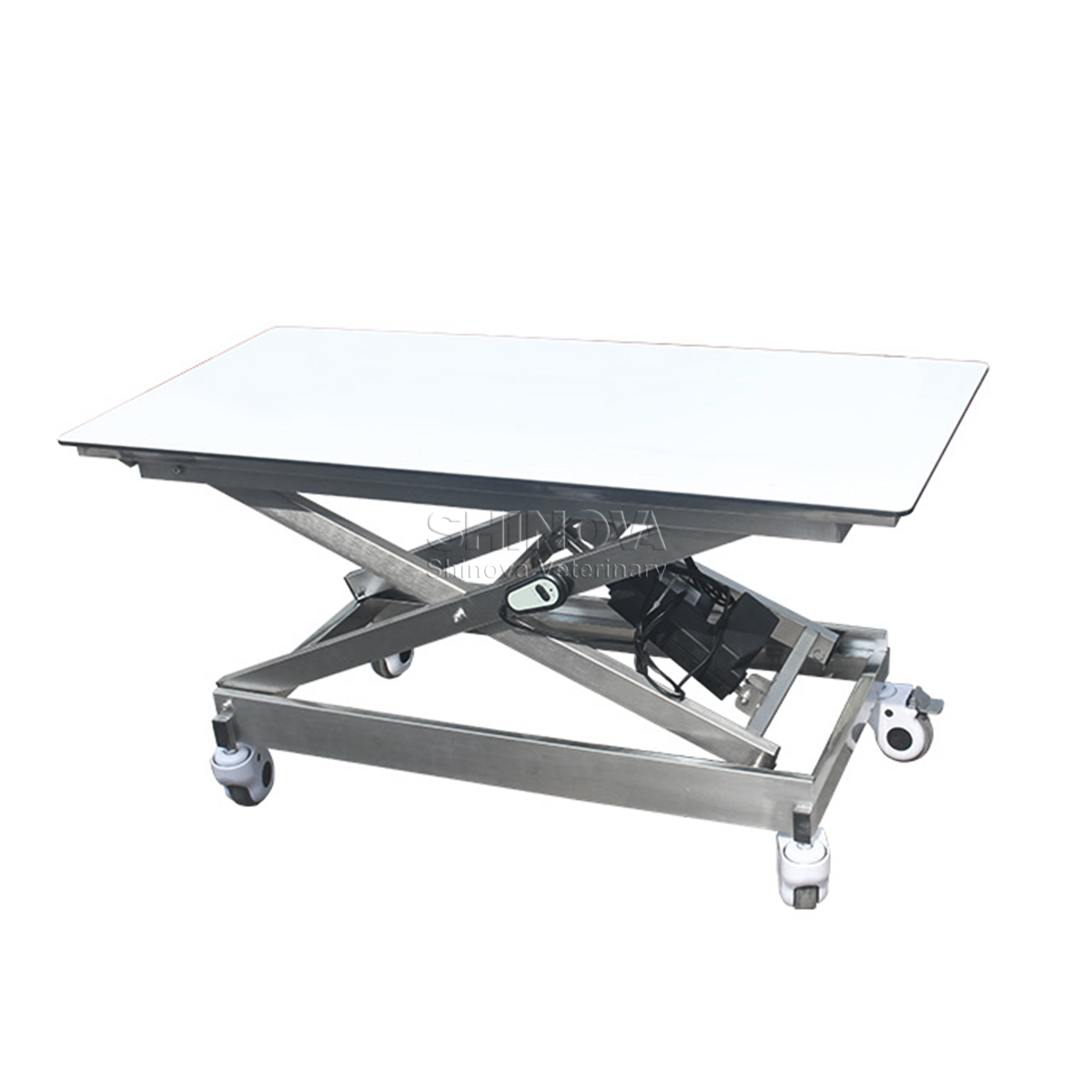Stainless Steel Carbon Transfer Vehicle