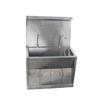 Stainless Steel Wash Sink