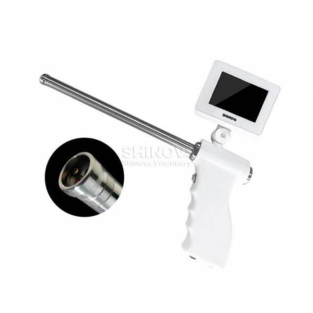 Visual Insemination Gun for Sheep