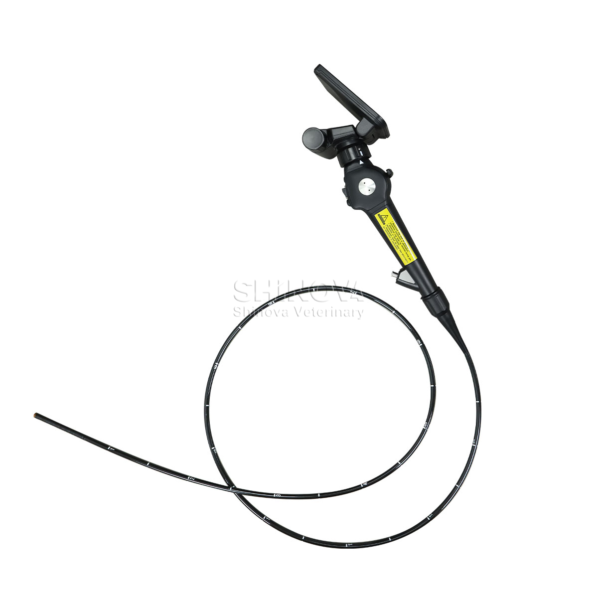 Handheld High-definition Video Endoscope for Equine Bronchoscopy