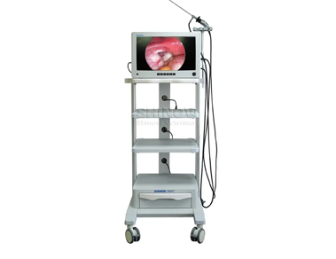 How Does Veterinary Laparoscope Work in Diagnosis?