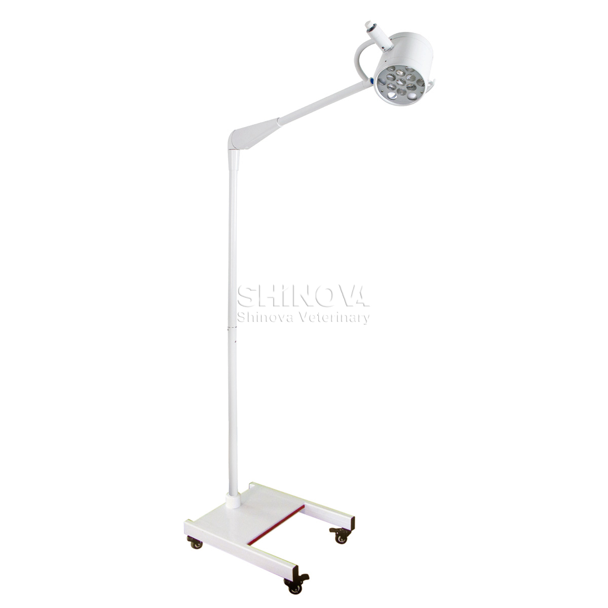 LED Treatment Light