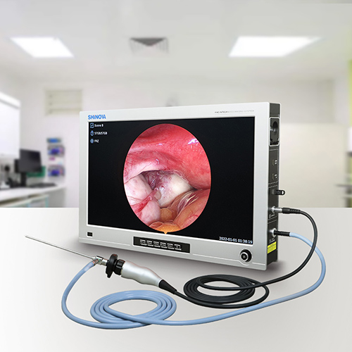 How Does Veterinary Laparoscope Work in Diagnosis?