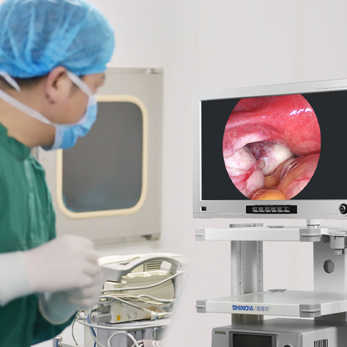 What Are The Applications of Veterinary Laparoscope?