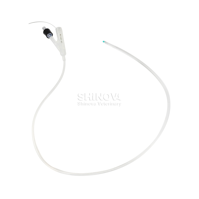 Dog Catheter
