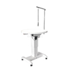Luminous Electric-Lifting Grooming Table