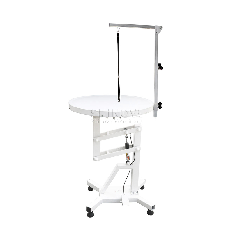 Luminous Pneumatic-Lifting Grooming Table