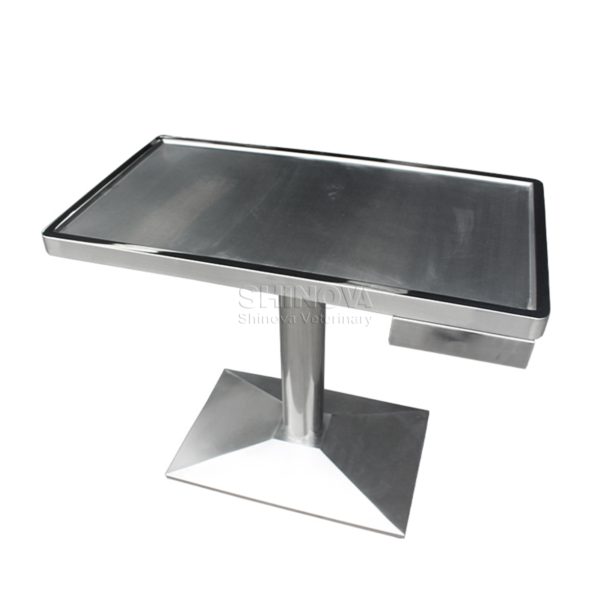 Multi-functional Electric Lifting Table With Scale