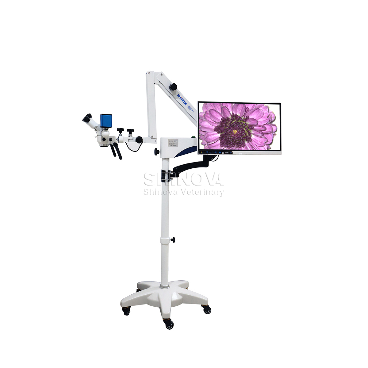 Veterinary Operating Microscope 