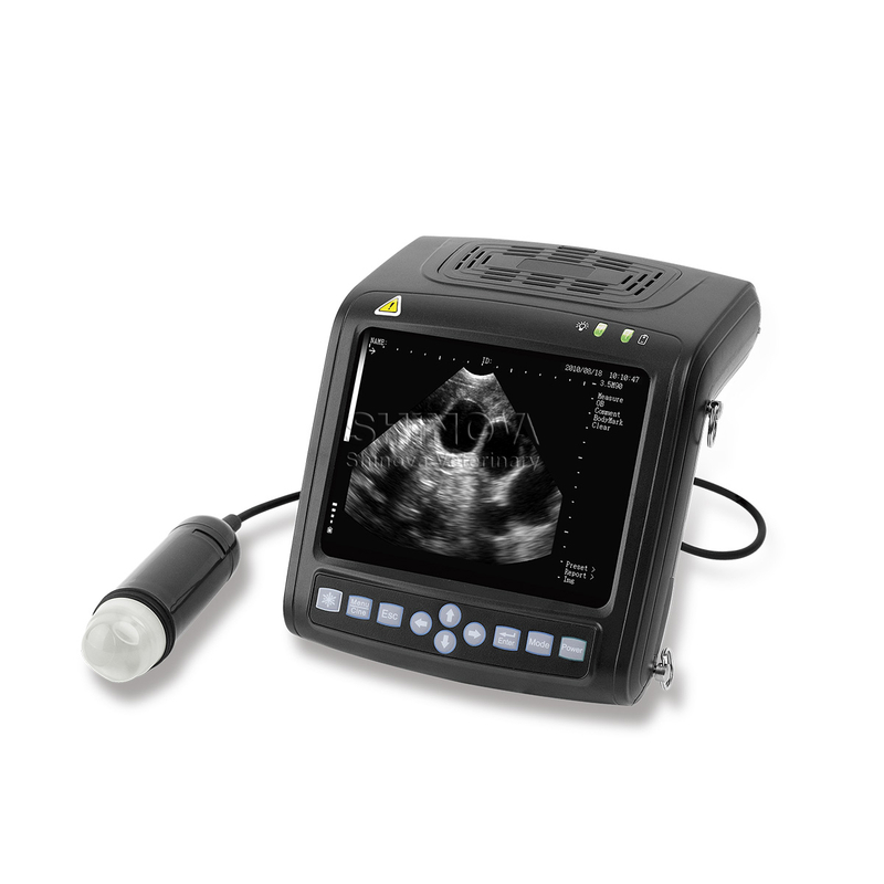 Handheld Veterinary Digital Ultrasound Scanner