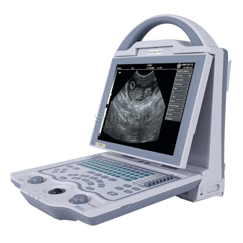 Portable Veterinary Ultrasound with 10.4