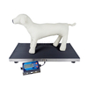 Accurate veterinary scale for large pets